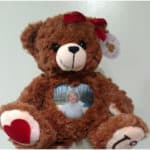 Grief Teddy Bear | Personalized Photo Teddy Bears | Voice and Image Gift Bears | Cuddlebuddys