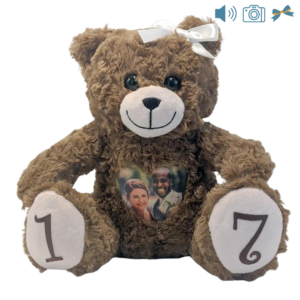 brown photo and audio bear with bow and foot decals