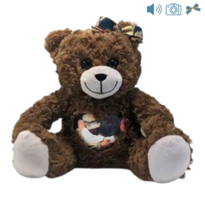 brown photo and audio bear with camouflage bow