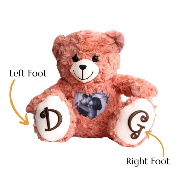 Custom Pink Teddy Bear with Decals