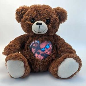 Photo Teddy Bear