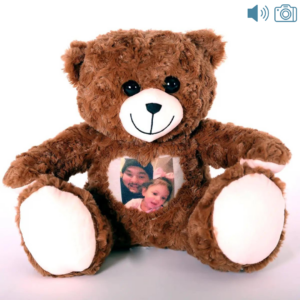 brown photo and audio bear