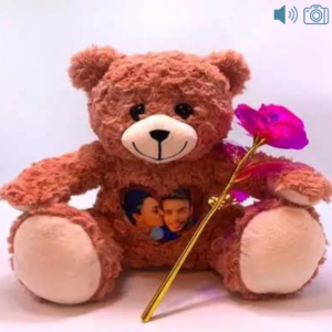 pink photo and audio bear with a forever rose