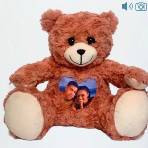 pink photo and audio bear