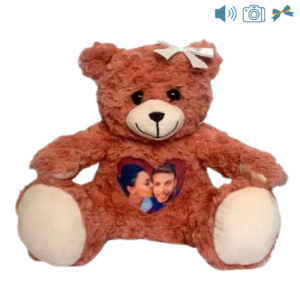 pink photo and audio bear with bow
