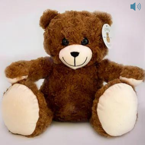 brown custom recordable bear