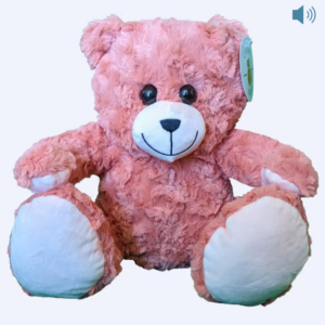 pink custom recordable teddy bear