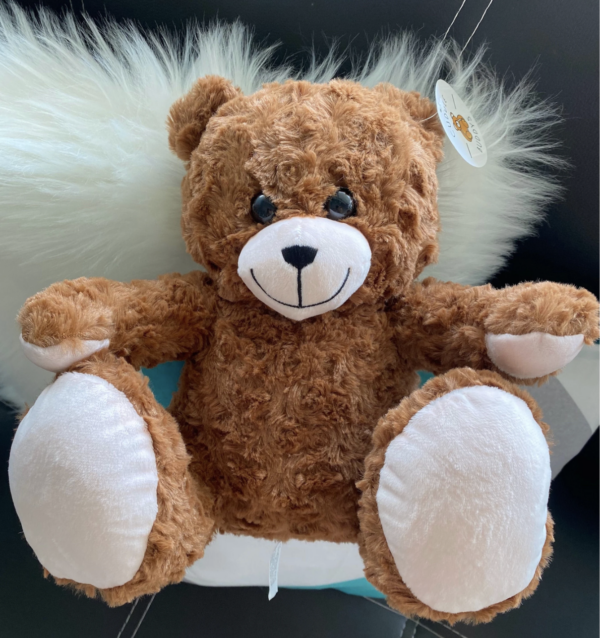 Custom Recordable Audio Message Brown Bear