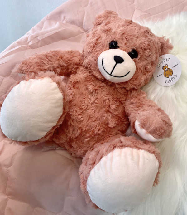 Pink recordable voice teddy bear