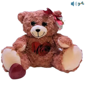 Pink recordable teddy bear