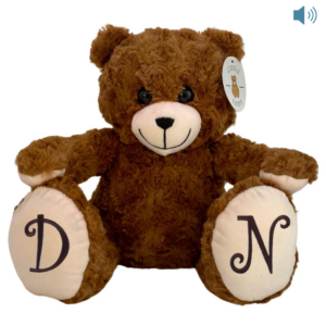 brown recordable bear with decals