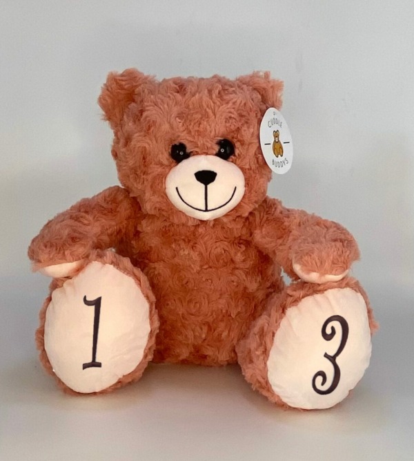 pink audio bear with feet decals