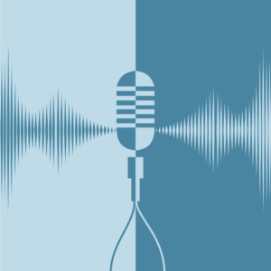 Canyon Voice Replicator