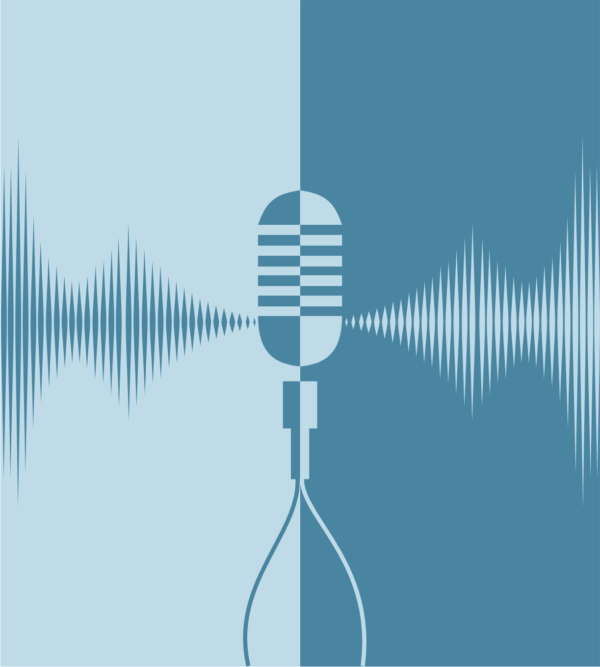 Canyon Voice Replicator