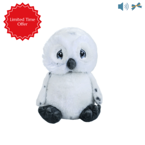 A picture of an owl on a white background. There are two icons in the upper right corner, an audio icon and a bow icon. There is a Limited Time Offer banner in the upper left corner.